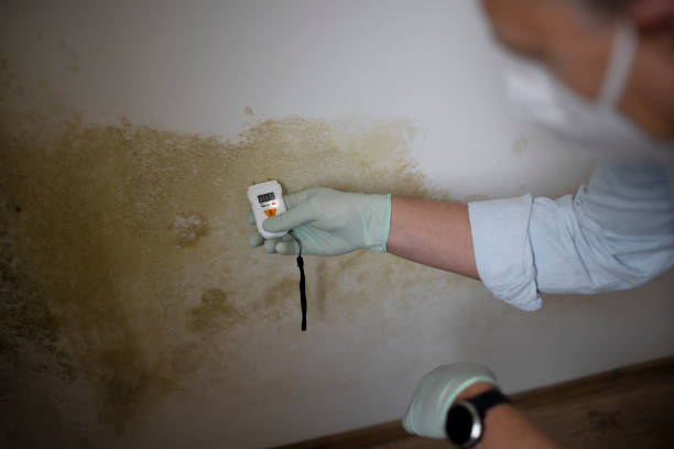 Best Biohazard Mold Removal  in Ocklawaha, FL